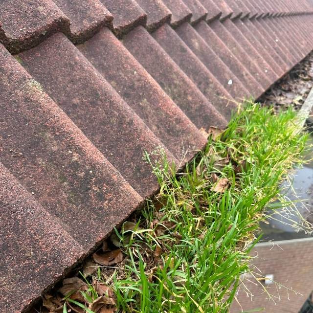 Dakgoot schoonmaken Nieuwerkerk aan den ijssel (1)